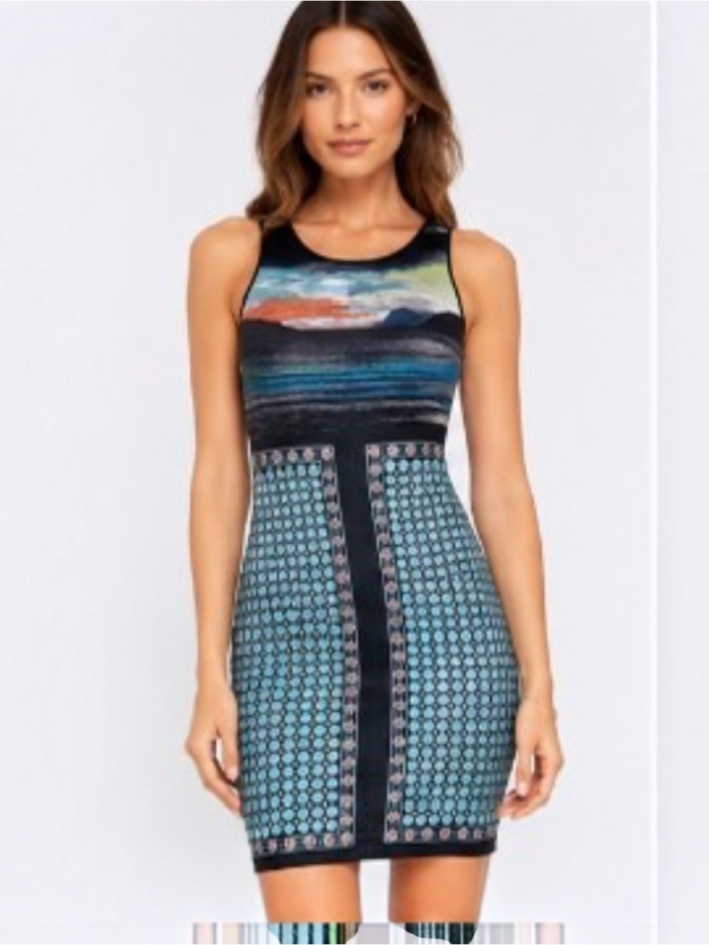Clover Canyon Neoprene Sunset Mountain Bodycon Dress Sz XS